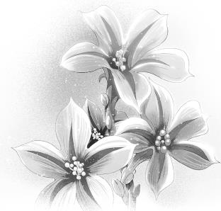 Иллюстрация к книге — Эва Эвергрин, полуволшебная ведьма [i_022.jpg]