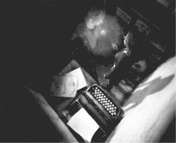 Иллюстрация к книге — Silent Hill. Навстречу ужасу. Игры и теория страха [i_015.jpg]