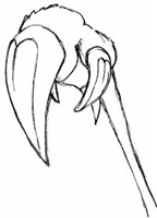 Иллюстрация к книге — Тот, кто крадётся во тьме [i_002.jpg]