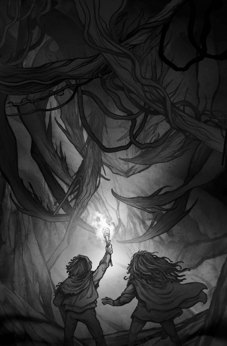 Иллюстрация к книге — Песня Темного кристалла. Книга вторая [i_007.jpg]