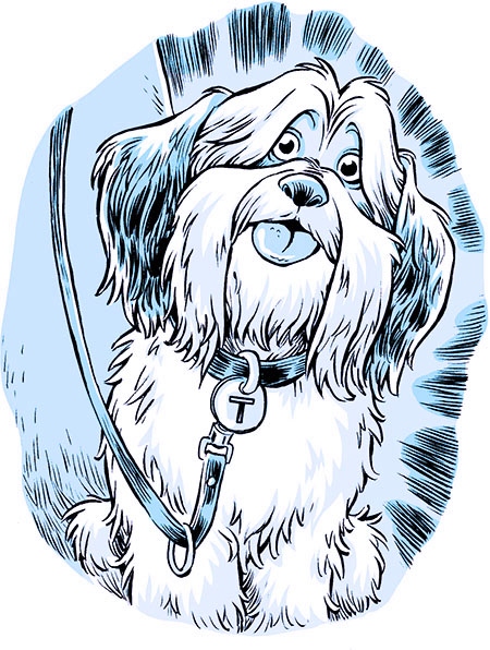 Иллюстрация к книге — Секрет звёздного пса [i_003.jpg]