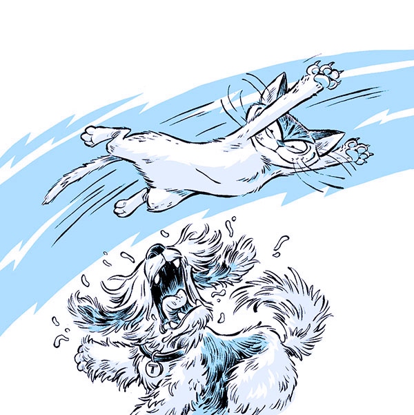 Иллюстрация к книге — Секрет звёздного пса [i_006.jpg]