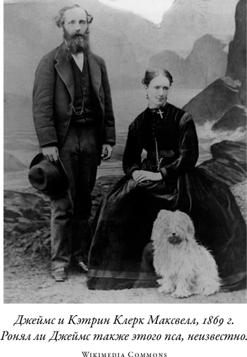 Иллюстрация к книге — Загадка падающей кошки и фундаментальная физика [i_003.jpg]