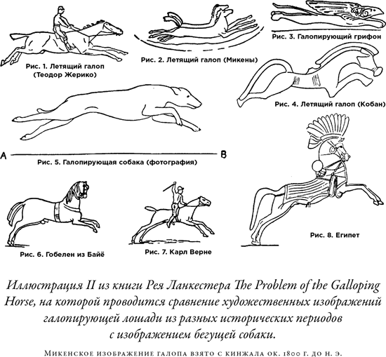 Иллюстрация к книге — Загадка падающей кошки и фундаментальная физика [i_008.jpg]