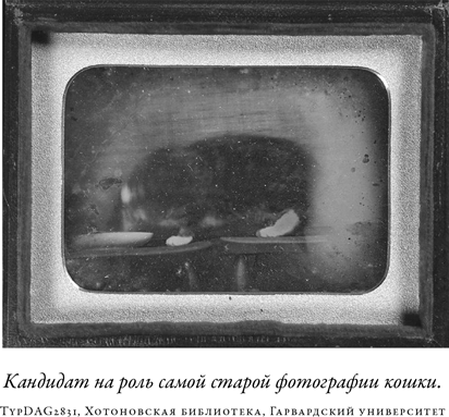 Иллюстрация к книге — Загадка падающей кошки и фундаментальная физика [i_011.jpg]