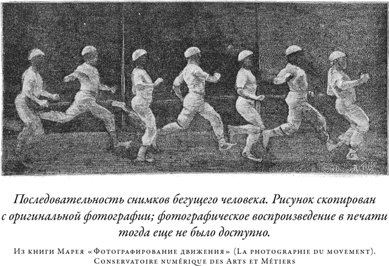 Иллюстрация к книге — Загадка падающей кошки и фундаментальная физика [i_017.jpg]