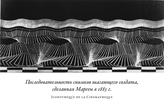 Иллюстрация к книге — Загадка падающей кошки и фундаментальная физика [i_018.jpg]