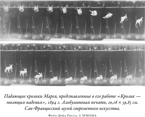 Иллюстрация к книге — Загадка падающей кошки и фундаментальная физика [i_026.jpg]