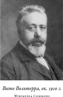 Иллюстрация к книге — Загадка падающей кошки и фундаментальная физика [i_032.jpg]