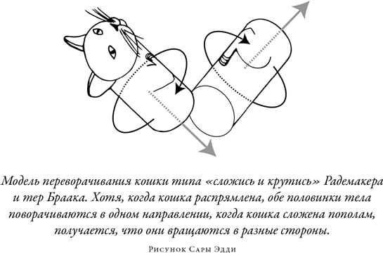 Иллюстрация к книге — Загадка падающей кошки и фундаментальная физика [i_039.jpg]