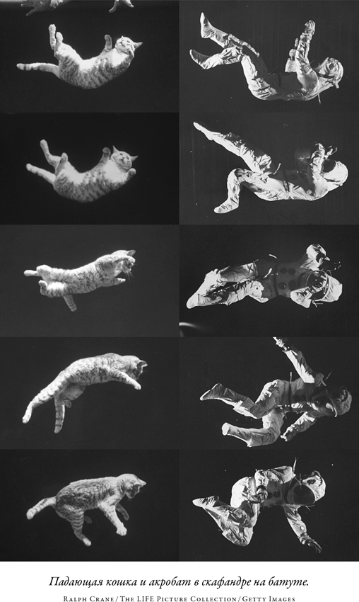 Иллюстрация к книге — Загадка падающей кошки и фундаментальная физика [i_050.jpg]