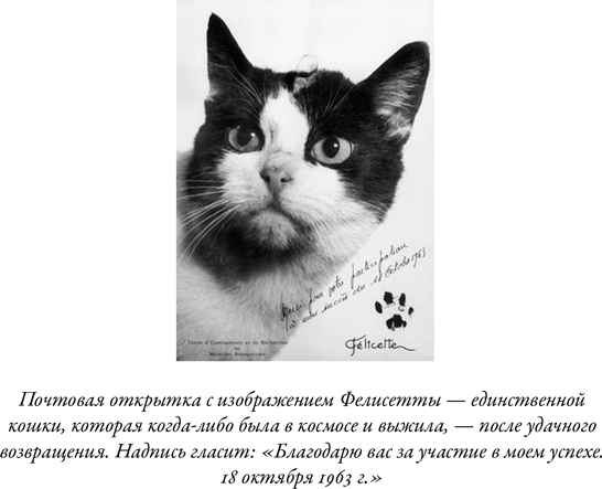 Иллюстрация к книге — Загадка падающей кошки и фундаментальная физика [i_051.jpg]