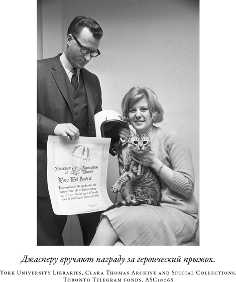 Иллюстрация к книге — Загадка падающей кошки и фундаментальная физика [i_053.jpg]