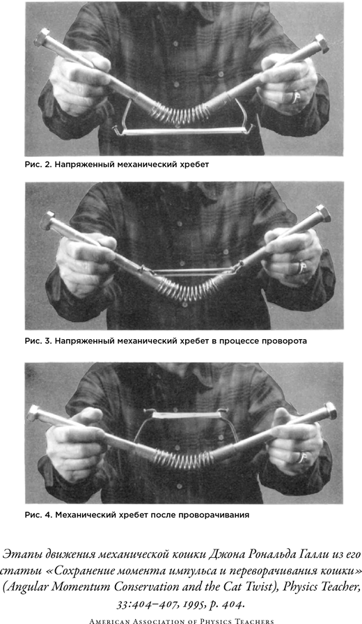 Иллюстрация к книге — Загадка падающей кошки и фундаментальная физика [i_058.jpg]