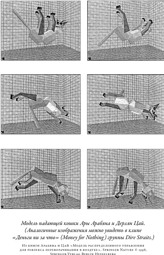 Иллюстрация к книге — Загадка падающей кошки и фундаментальная физика [i_059.jpg]