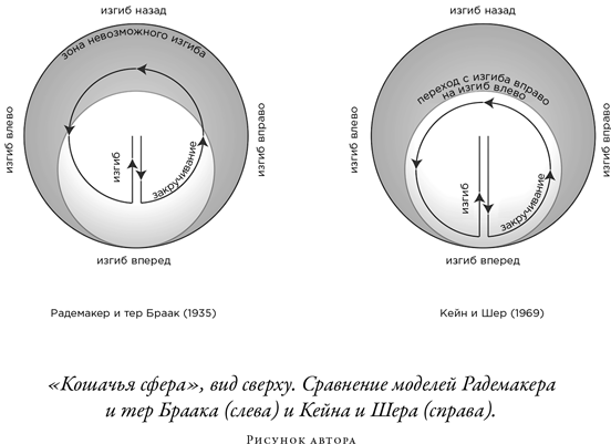 Иллюстрация к книге — Загадка падающей кошки и фундаментальная физика [i_071.jpg]