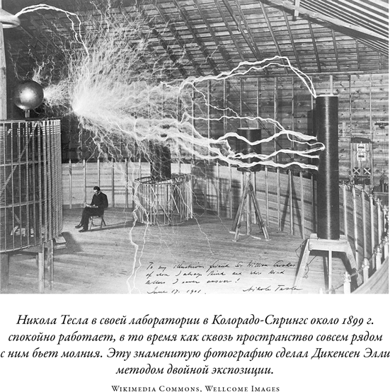 Иллюстрация к книге — Загадка падающей кошки и фундаментальная физика [i_072.jpg]