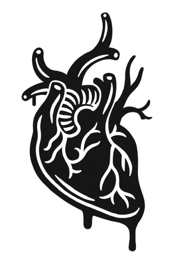 Иллюстрация к книге — Страна ночи [i_037.jpg]