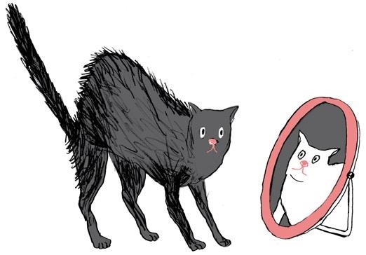 Иллюстрация к книге — Месячные – твоё личное приключение! [i_030.jpg]