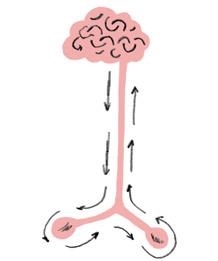 Иллюстрация к книге — Месячные – твоё личное приключение! [i_035.jpg]