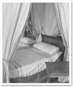 Иллюстрация к книге — Кто убил Жозефину? Тайна смерти жены Наполеона [i_013.jpg]