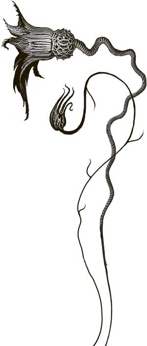 Иллюстрация к книге — Космология монстров [i_007.jpg]