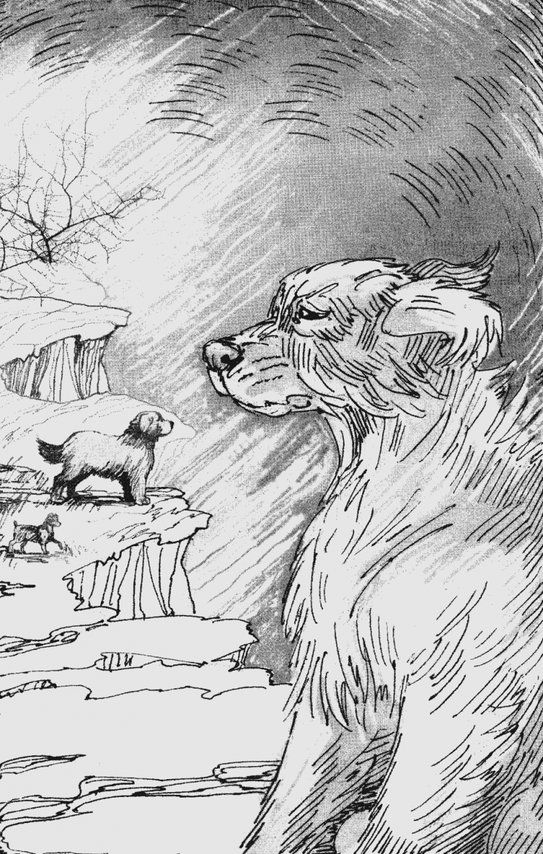 Иллюстрация к книге — Бескрайнее Озеро [i_001.jpg]