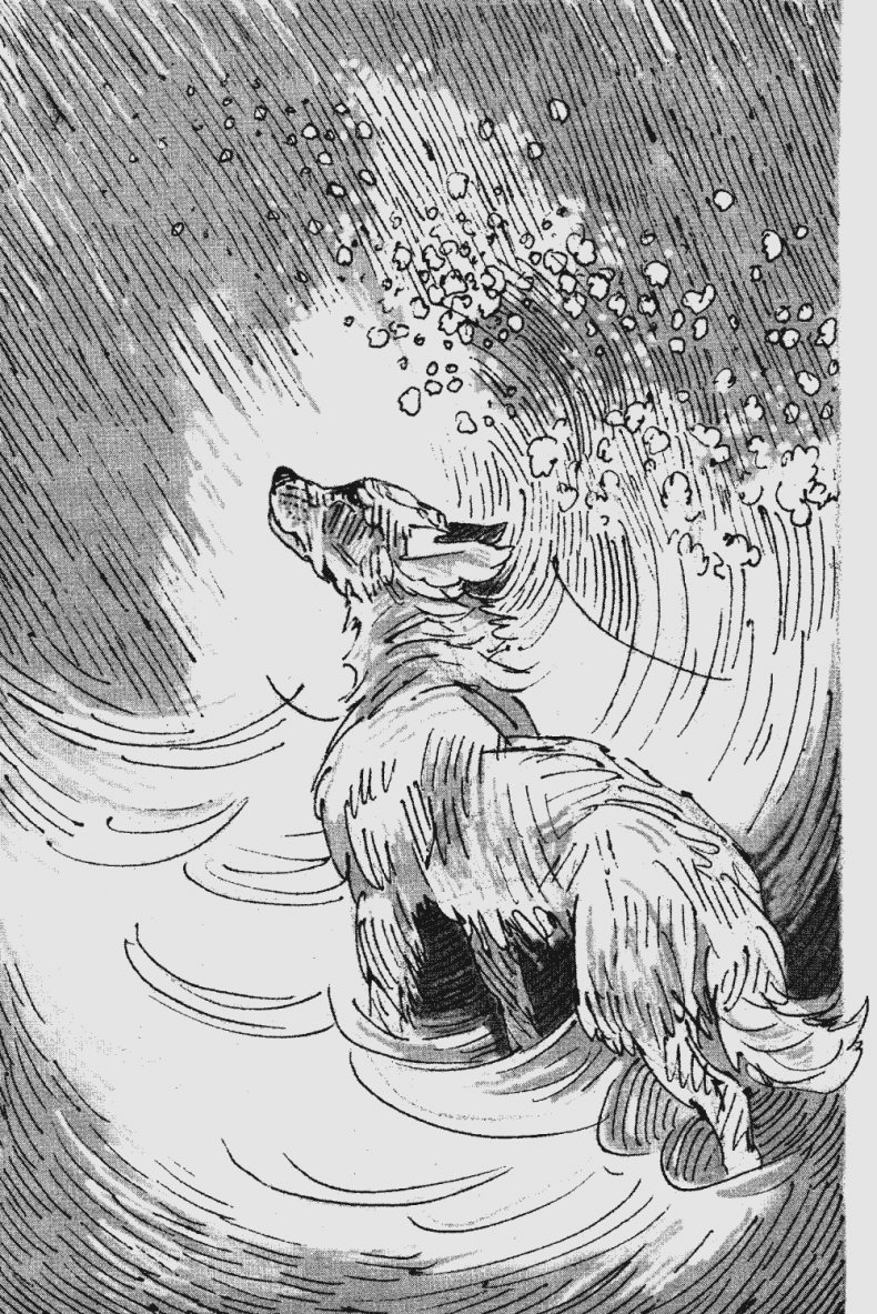 Иллюстрация к книге — Бескрайнее Озеро [i_008.jpg]