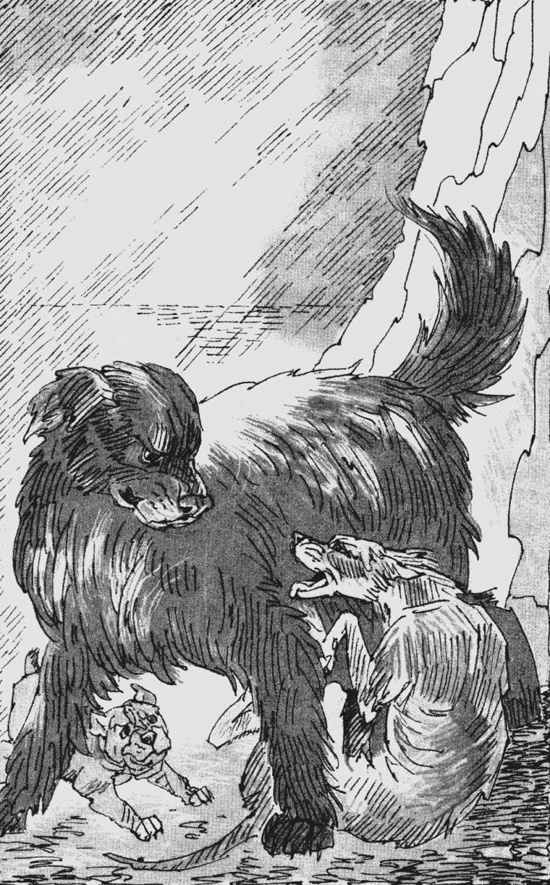 Иллюстрация к книге — Бескрайнее Озеро [i_009.jpg]