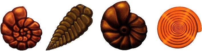 Иллюстрация к книге — В морях и океанах [i_004.jpg]