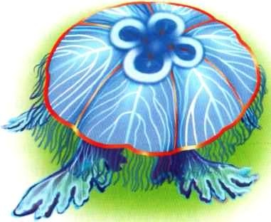 Иллюстрация к книге — В морях и океанах [i_013.jpg]