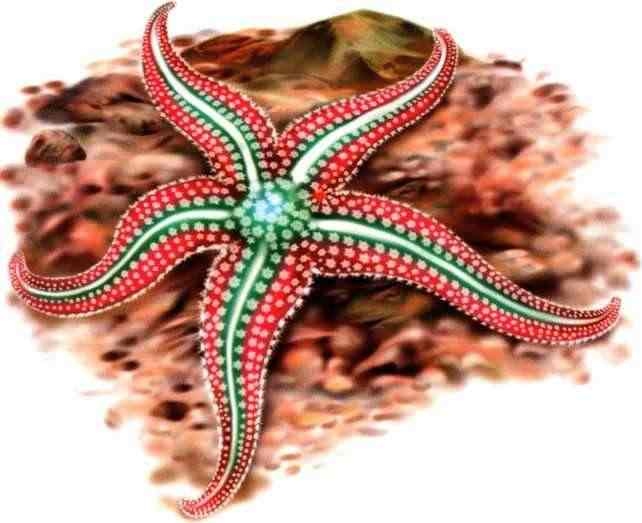 Иллюстрация к книге — В морях и океанах [i_036.jpg]