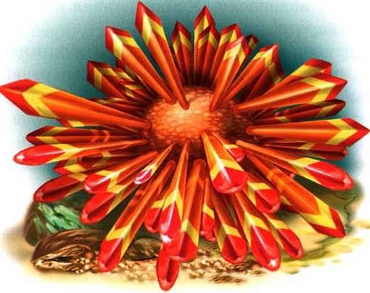 Иллюстрация к книге — В морях и океанах [i_042.jpg]