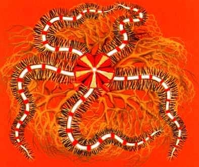 Иллюстрация к книге — В морях и океанах [i_043.jpg]