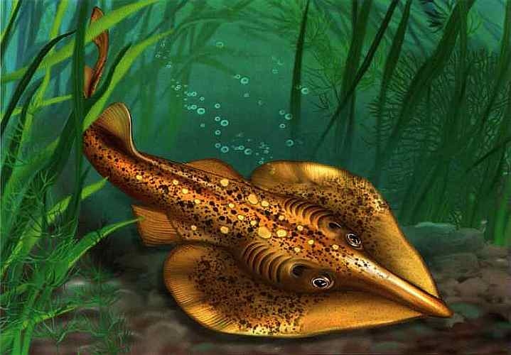 Иллюстрация к книге — В морях и океанах [i_052.jpg]