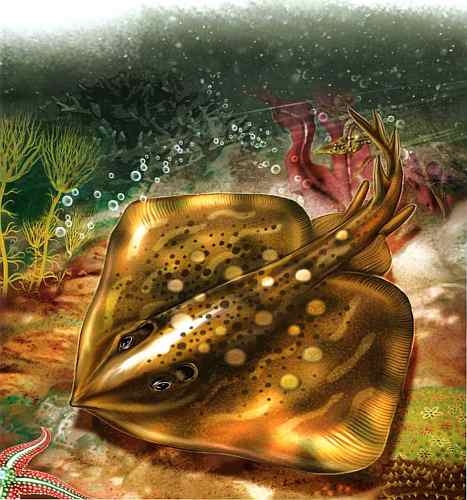 Иллюстрация к книге — В морях и океанах [i_054.jpg]