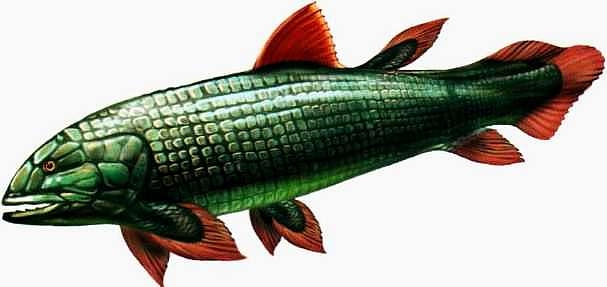 Иллюстрация к книге — В морях и океанах [i_060.jpg]