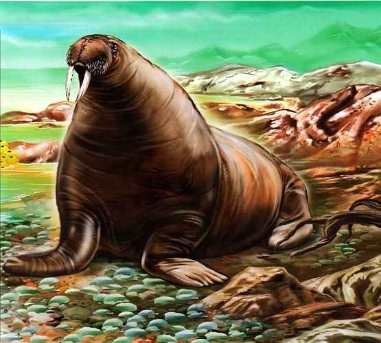 Иллюстрация к книге — В морях и океанах [i_062.jpg]