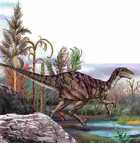 Иллюстрация к книге — Цветы [i_003.jpg]