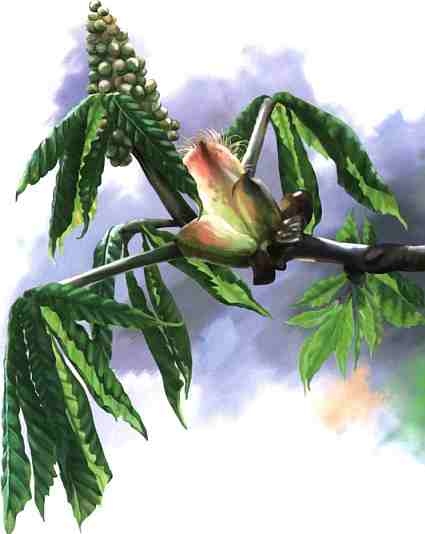 Иллюстрация к книге — Цветы [i_019.jpg]