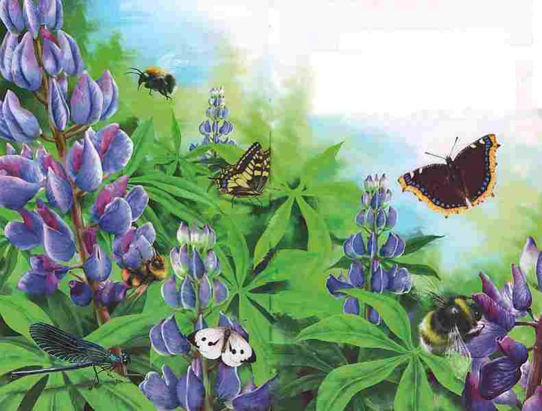 Иллюстрация к книге — Цветы [i_023.jpg]