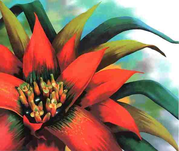 Иллюстрация к книге — Цветы [i_047.jpg]