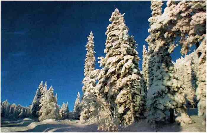 Иллюстрация к книге — Знакомьтесь: Европа [i_013.jpg]