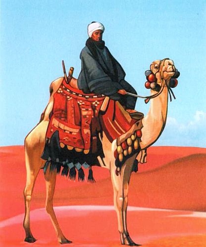 Иллюстрация к книге — Знакомьтесь: Африка [i_001.jpg]