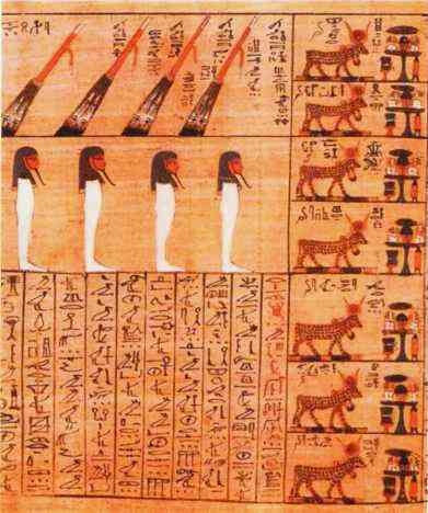 Иллюстрация к книге — Знакомьтесь: Африка [i_021.jpg]