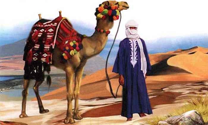 Иллюстрация к книге — Знакомьтесь: Африка [i_047.jpg]