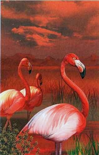 Иллюстрация к книге — Знакомьтесь: Африка [i_084.jpg]