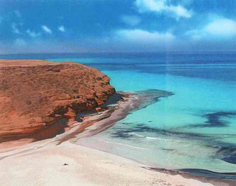 Иллюстрация к книге — Знакомьтесь: Африка [i_091.jpg]