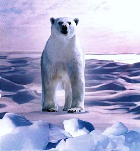 Иллюстрация к книге — Заповедники России [i_001.jpg]