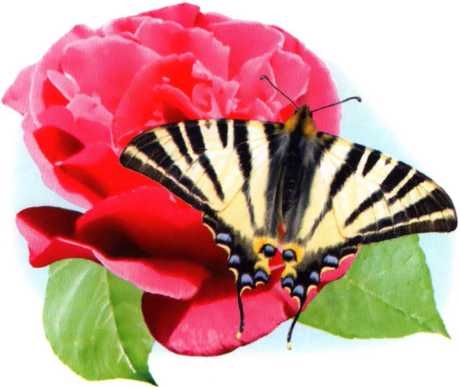 Иллюстрация к книге — Заповедники России [i_017.jpg]